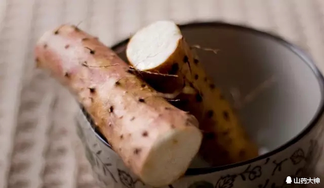 铁棍山药，终极鉴定*法大**｜每周一药