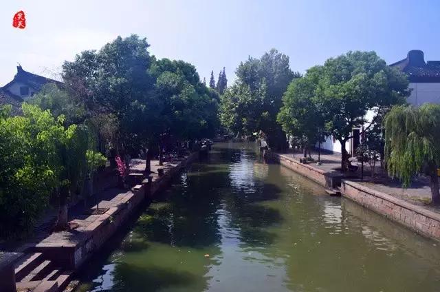 蓝莲花开，看跨界达人如何用心将每个瞬间做到永恒