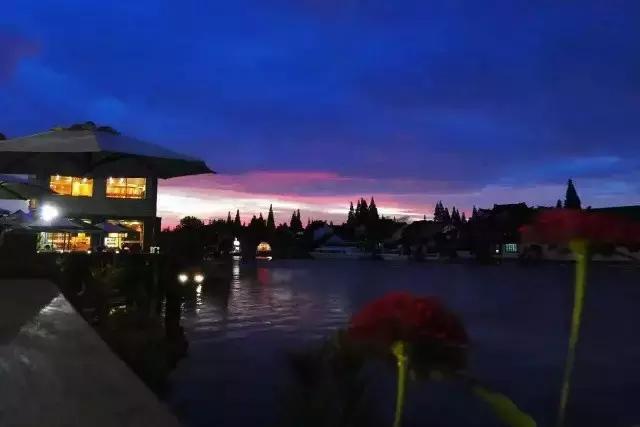 蓝莲花开，看跨界达人如何用心将每个瞬间做到永恒