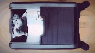 rimowa行李箱怎么挑,rimowa行李箱值得买吗