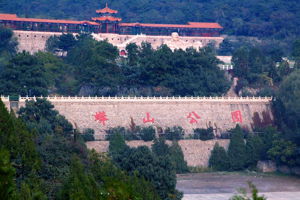 国庆节带狗狗适合去哪玩,国庆节狗狗出去浪