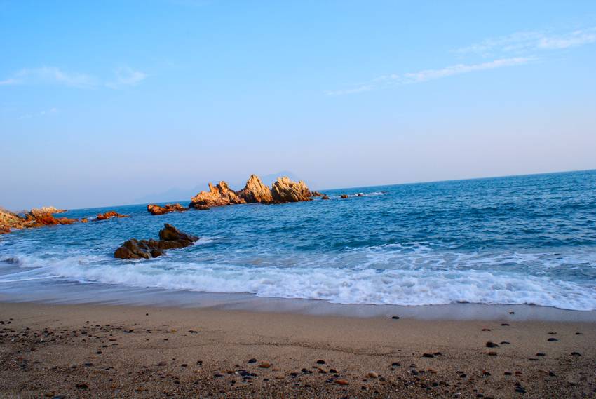 国庆节带狗狗适合去哪玩,国庆节狗狗出去浪