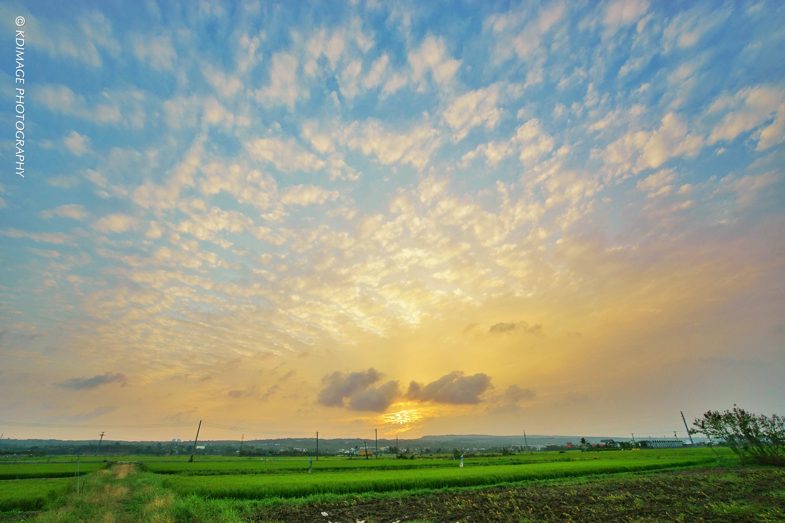 详细的宝岛台湾旅游攻略,宝岛台湾旅游线路攻略图