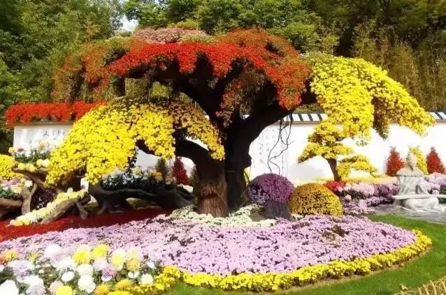 西安国庆节大唐不夜城有什么节目,西安国庆节有什么玩的