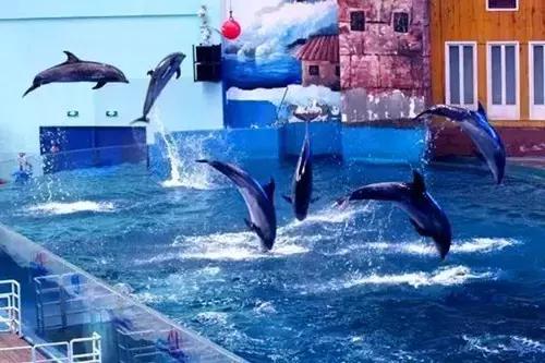 西安国庆节大唐不夜城有什么节目,西安国庆节有什么玩的