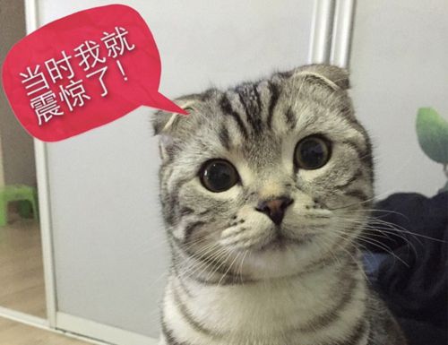 有戏足球,有戏啦的来源