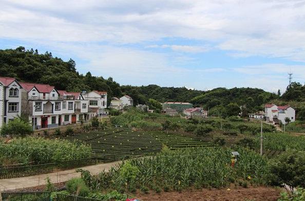 大别山中大金寨，这23个乡镇貌美如花，十一你不来？