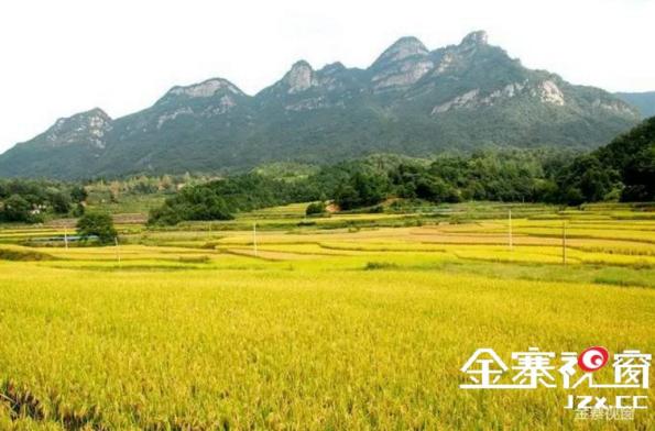 大别山中大金寨，这23个乡镇貌美如花，十一你不来？