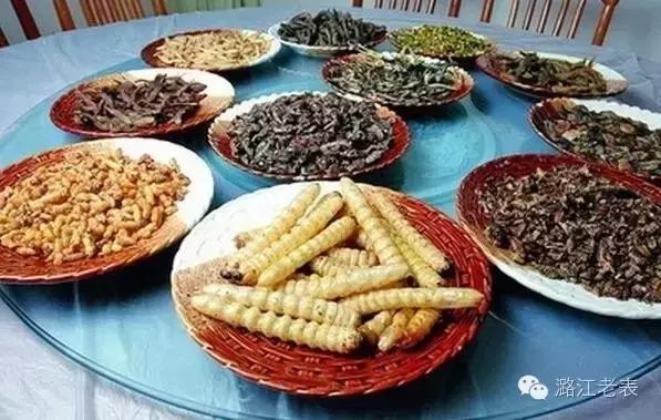 云南昆虫宴美食,云南特点虫宴