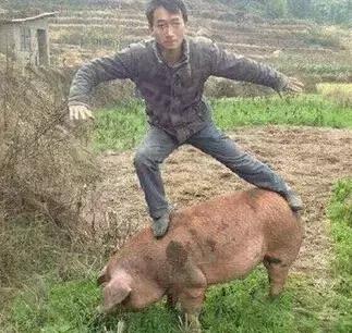 有治打呼噜的方子吗,治疗打呼噜有没有靠谱的方法