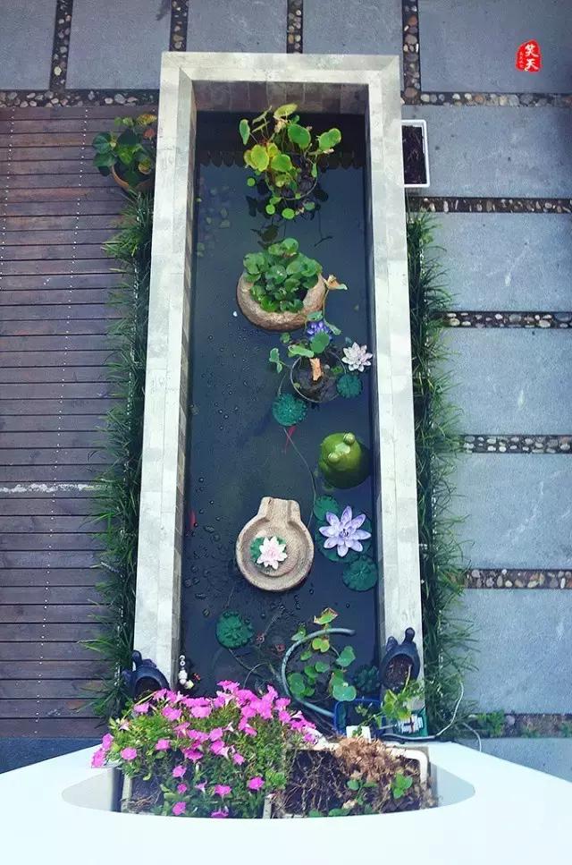 蓝莲花开，看跨界达人如何用心将每个瞬间做到永恒