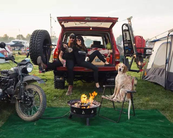 国庆节带狗狗适合去哪玩,国庆节狗狗出去浪