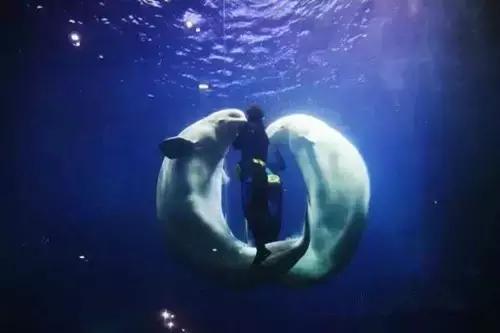 西安国庆节大唐不夜城有什么节目,西安国庆节有什么玩的