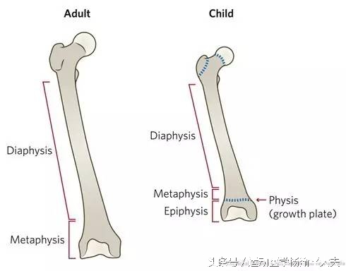 儿童瑜伽应该怎样教,儿童瑜伽初入门教学视频