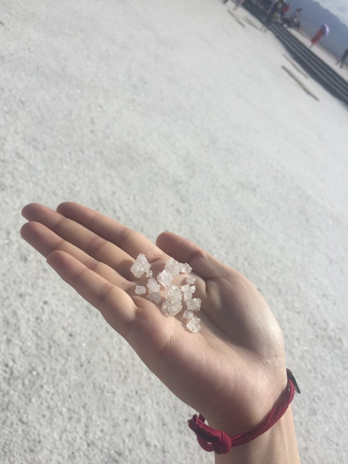 青海大西北之旅 (西宁青海湖张掖敦煌夏季之旅)