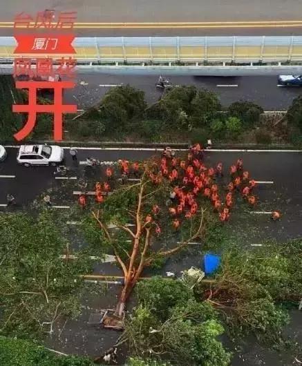 台风后的厦门值得一看,台风过后的厦门依然美丽