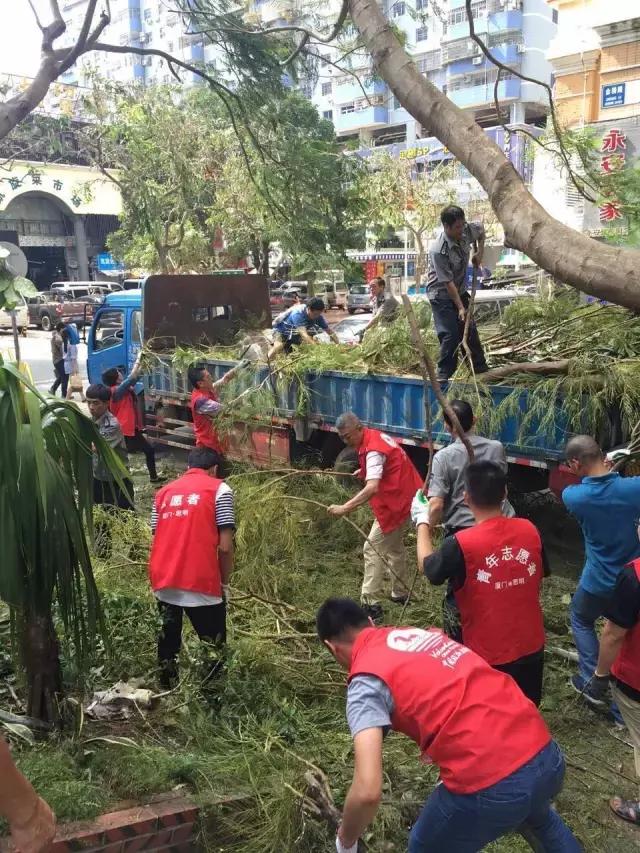 台风后的厦门值得一看,台风过后的厦门依然美丽