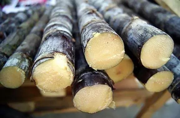 最有价值的预防疾病的水果,十大抗癌水果排名及功效