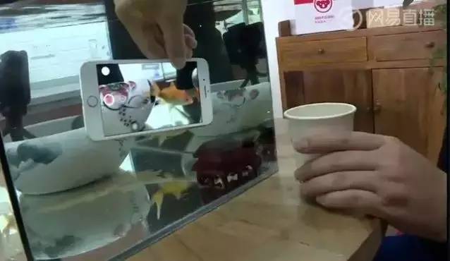 iphone7拆了有必要装防水圈吗,换过屏幕的iphone7防水