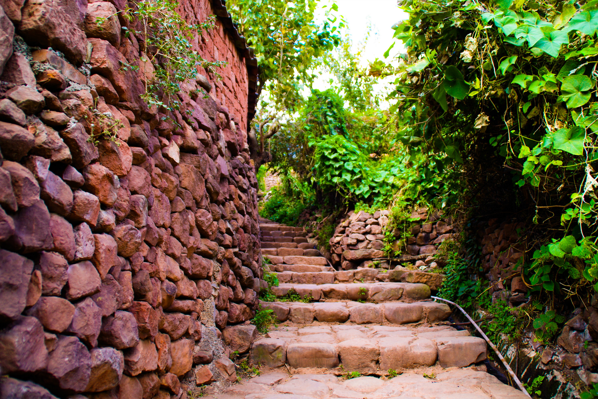 云南必去的免费景点推荐,云南值得去的景区攻略推荐