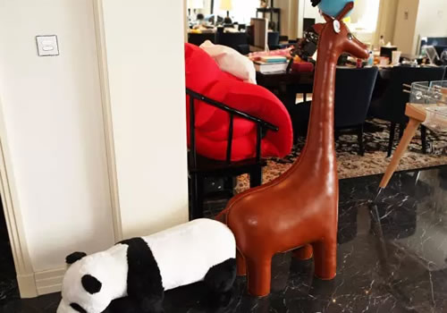 王思聪赵丽颖综艺节目叫什么名字,王思聪赵丽颖视频素材