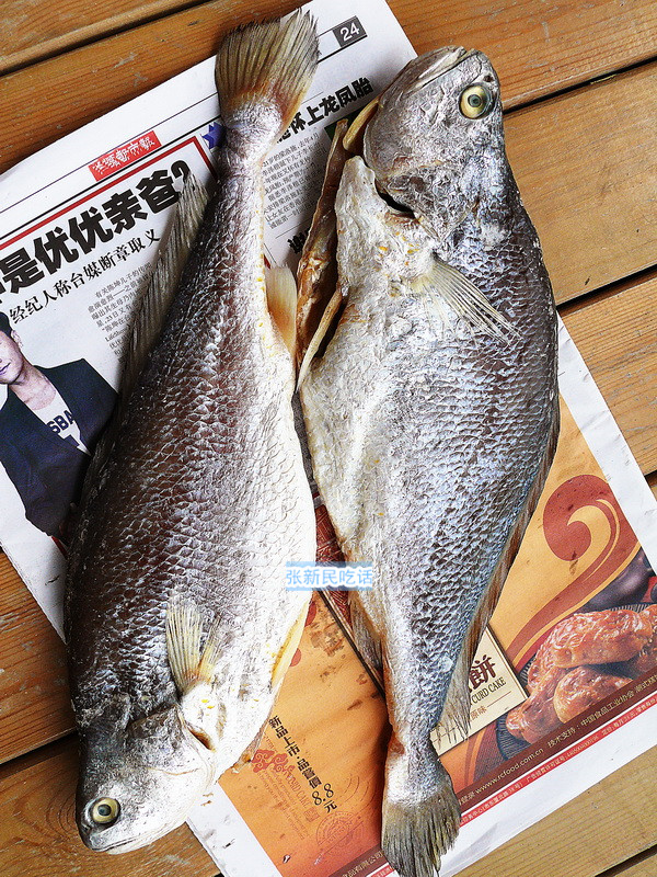 哪种咸鱼好吃无刺,黄色的咸鱼和白色咸鱼哪种好吃