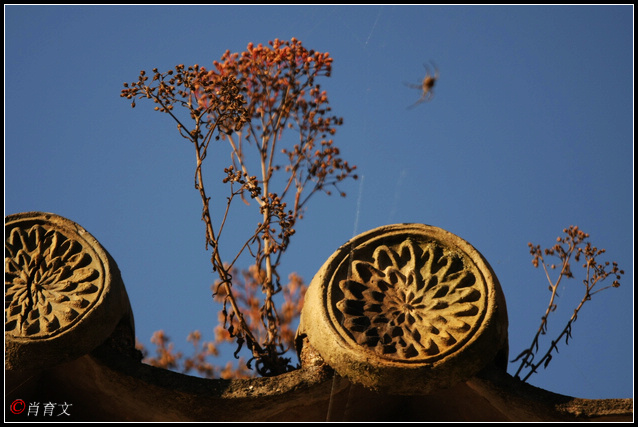云南必去的免费景点推荐,云南值得去的景区攻略推荐
