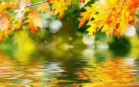 缓解压力的10种简单方法,缓解压力的5种简单方法