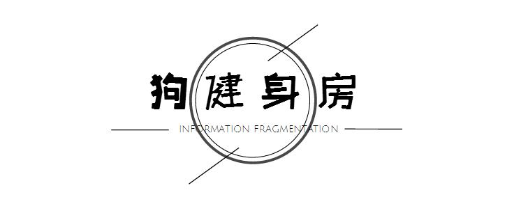 一千平室外宠物乐园,拥有数百只流浪猫的猫咪公园