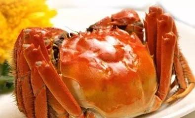 武汉江夏新区中心城区,武汉江夏新城区