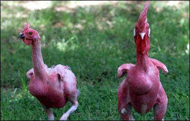 股市惨淡,股市惨淡怎么办