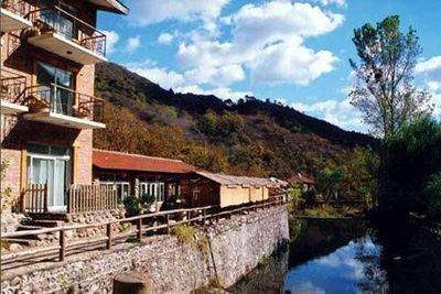 国庆节带狗狗适合去哪玩,国庆节狗狗出去浪