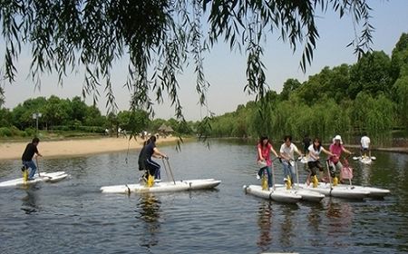 国庆节带狗狗适合去哪玩,国庆节狗狗出去浪