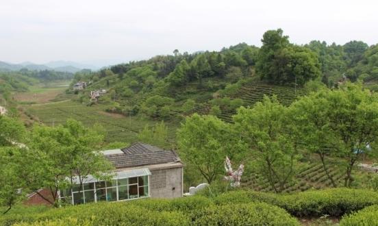 大别山中大金寨，这23个乡镇貌美如花，十一你不来？