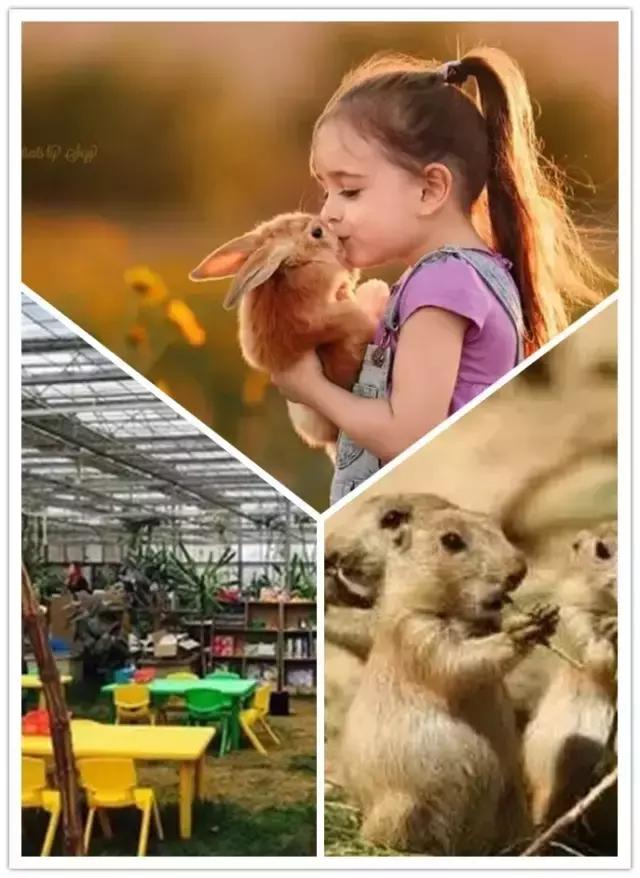 天津亲子国庆节,六一天津亲子游