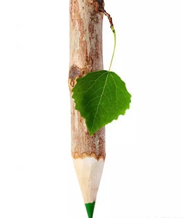 永康市湖西村翁应龙,翁应龙最新视频