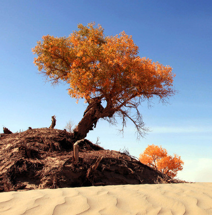 ps调色中式婚纱照,2022ps婚纱外景调色教程