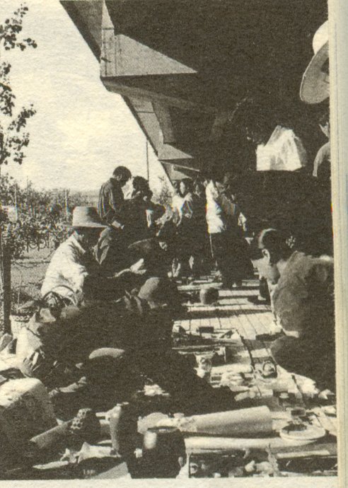 鏈濋槼鍖烘綐瀹跺洯,鍖椾含甯傛綐瀹跺洯