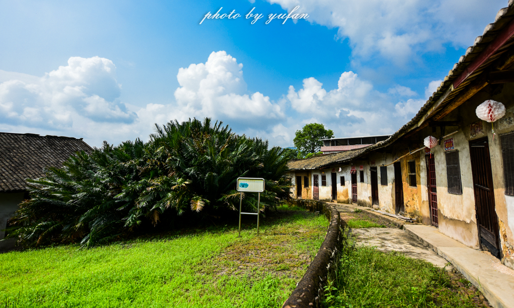 丝路奇迹：观围屋之典范，赏苏铁之传奇