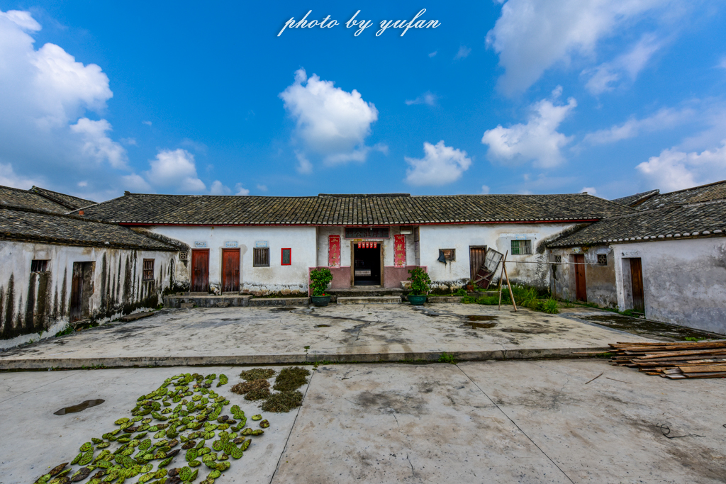 丝路奇迹：观围屋之典范，赏苏铁之传奇