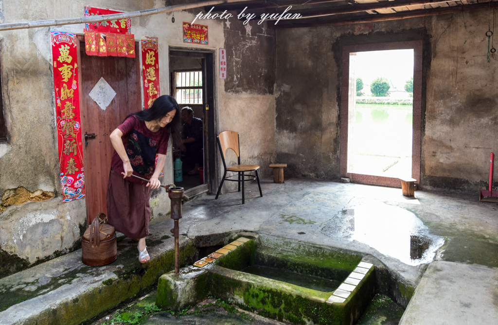 丝路奇迹：观围屋之典范，赏苏铁之传奇