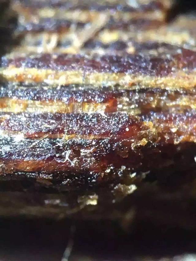 富二代为淘美女欢心，花80买一克奇楠沉香，美女看到当场说分手