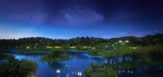 清远长隆森林主题乐园亚洲最大,广东清远长隆游乐园攻略