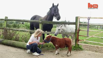 技能贴！教你如何和男朋友分手