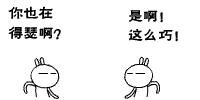 适合孩子玩又有好吃的饭店,适合带儿童去自助餐厅
