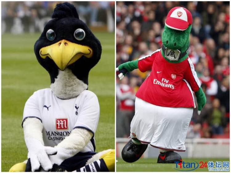 tifo上海申花,苏宁球迷骂申花