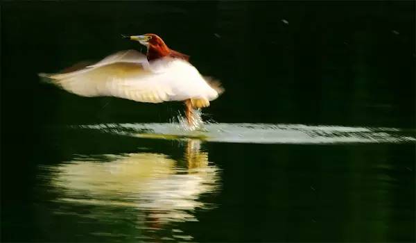 佛教参观景德镇,淄博佛教故事