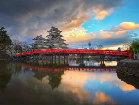 去日本旅游带多少钱合适一点,带狗狗去日本旅游要多少钱