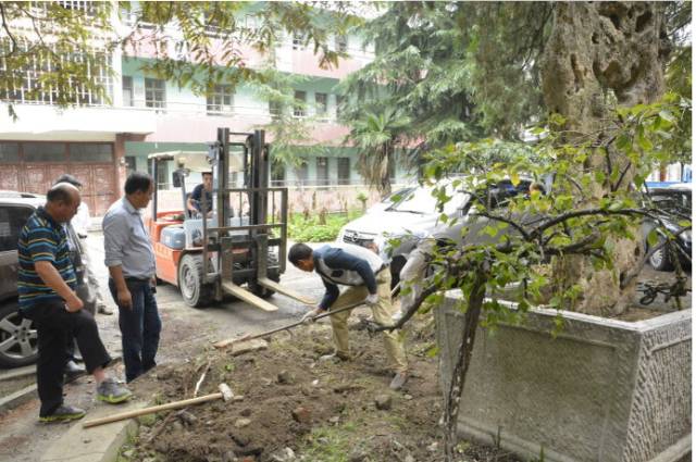 寿县三中老校区拆迁,寿县三中学校最新消息