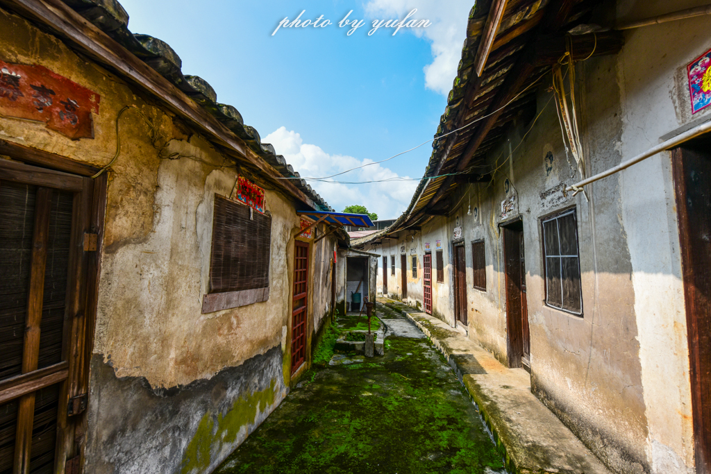 丝路奇迹：观围屋之典范，赏苏铁之传奇